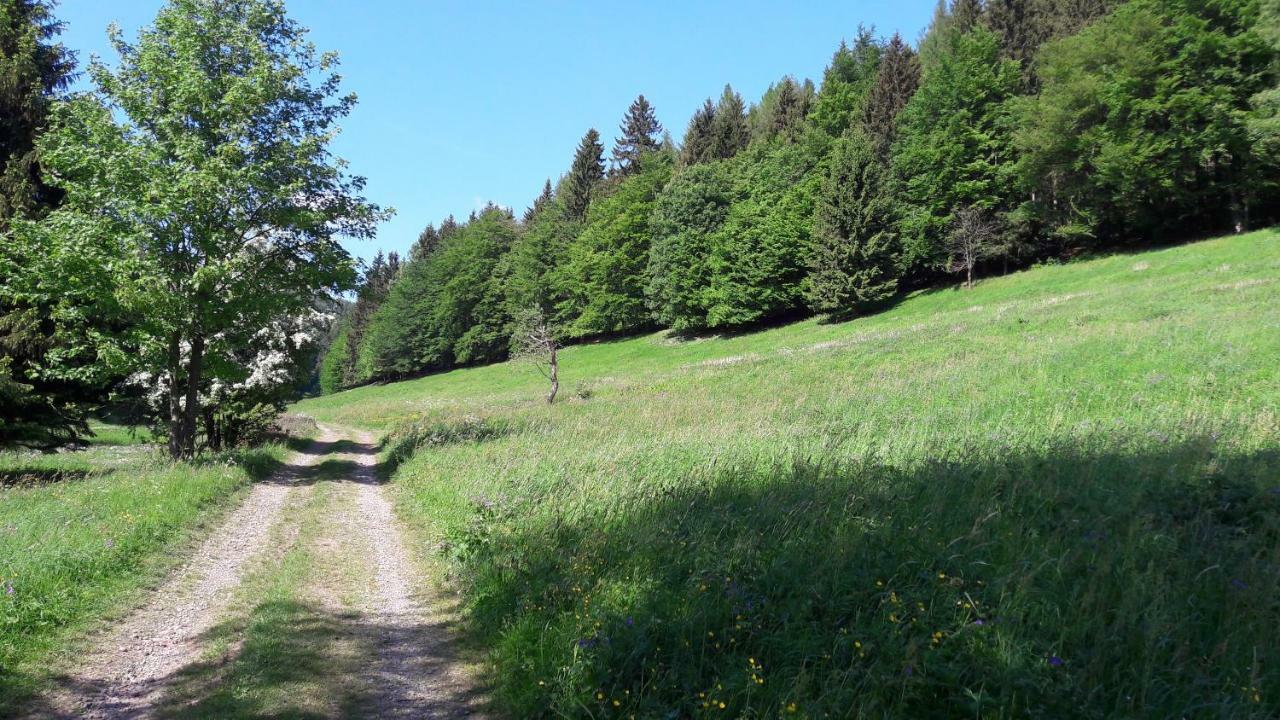 Ferienhaus Moosbachtal Thueringer Wald Bei Oberhof Rotterode 외부 사진
