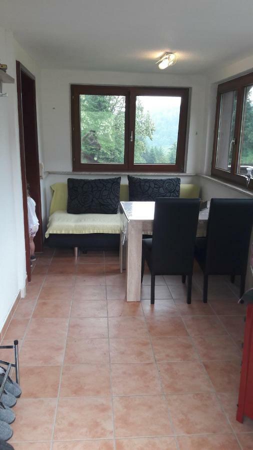 Ferienhaus Moosbachtal Thueringer Wald Bei Oberhof Rotterode 외부 사진